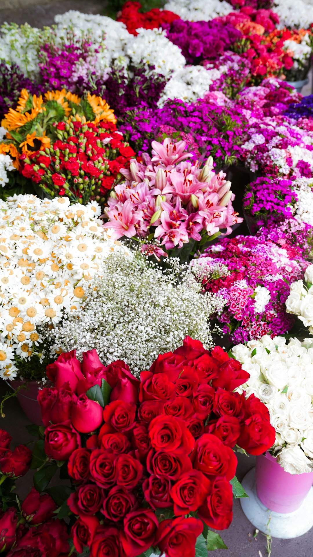 Frühlingsblumen Trends 2025