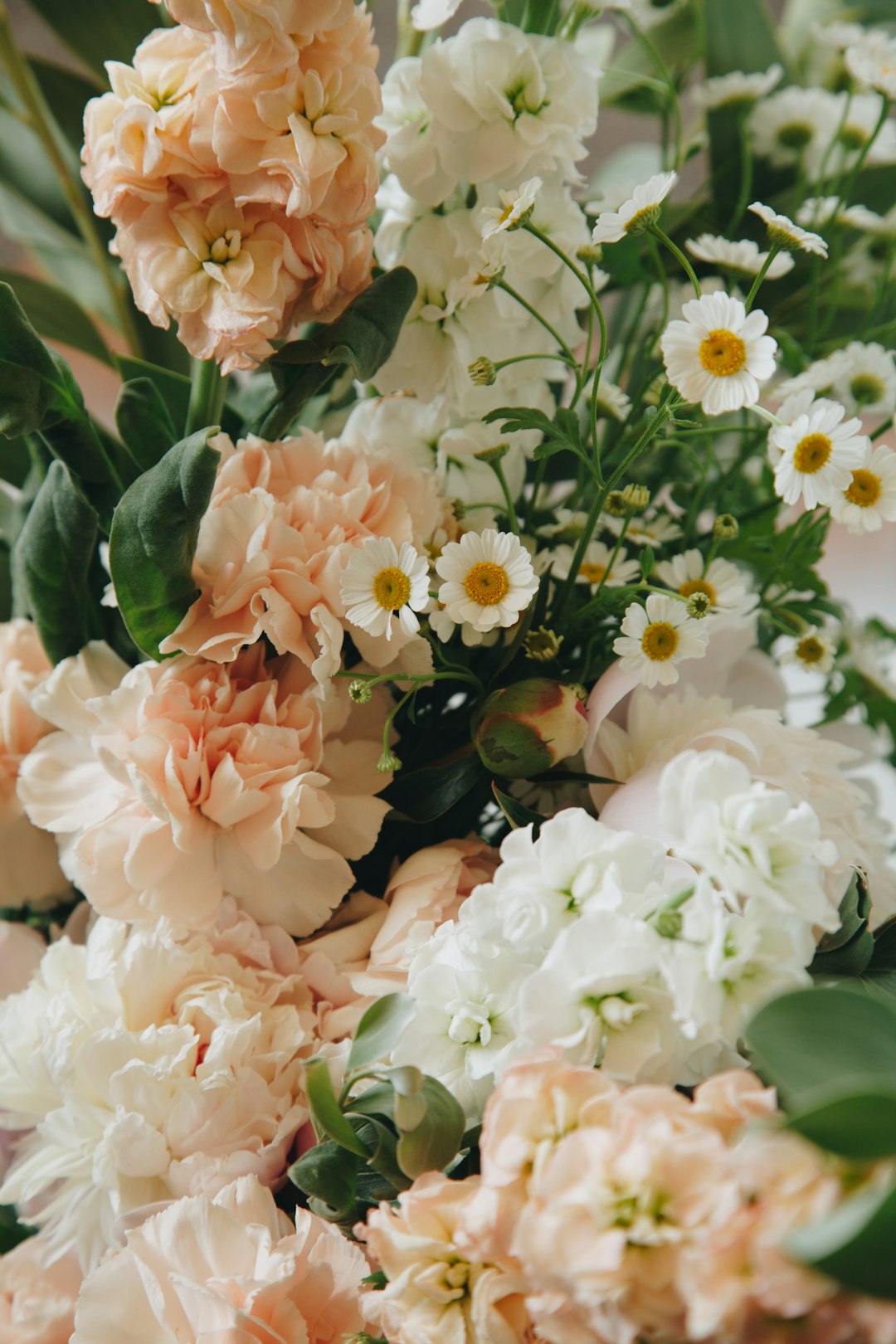 Pflege von Schnittblumen