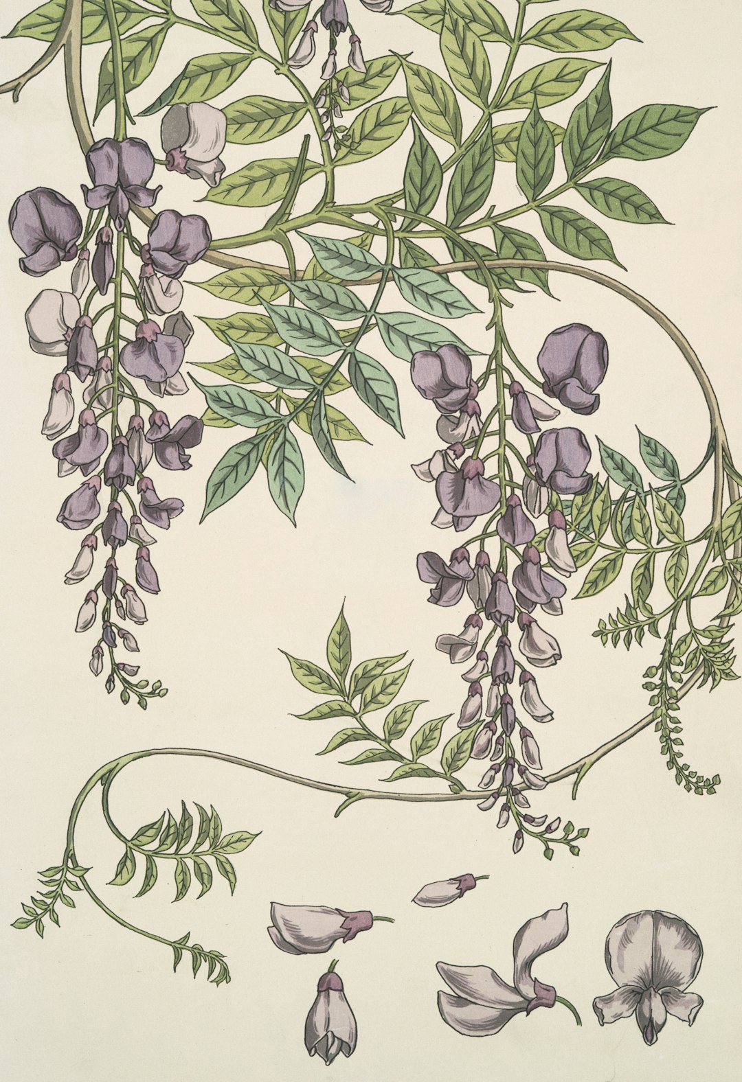 Saisonale Blumendekoration